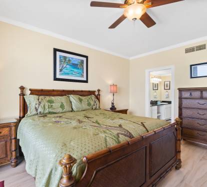 Master king size bed