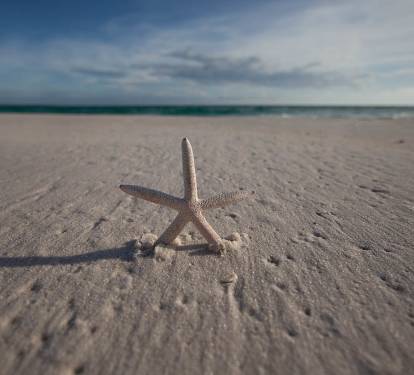 Photo #30