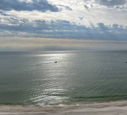Why are you not here right now?