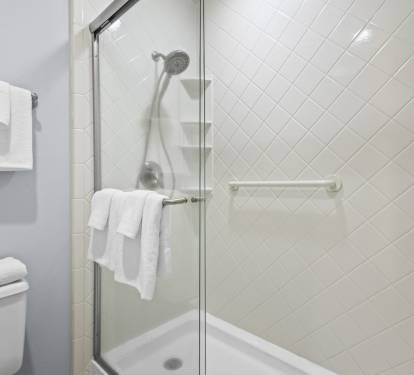 Primary Shower