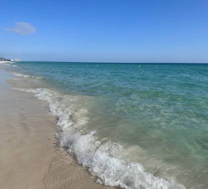 Photo #13