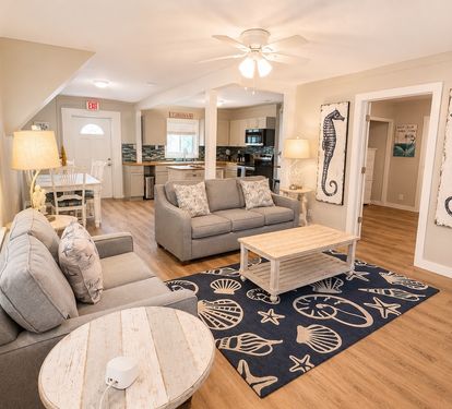 Living room with sleeper sofa 