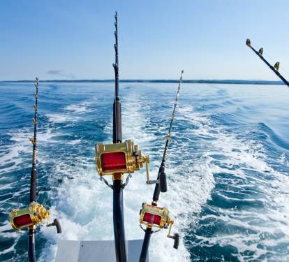 Book a deep sea fishing trip through Trip Shock ...ask us how!