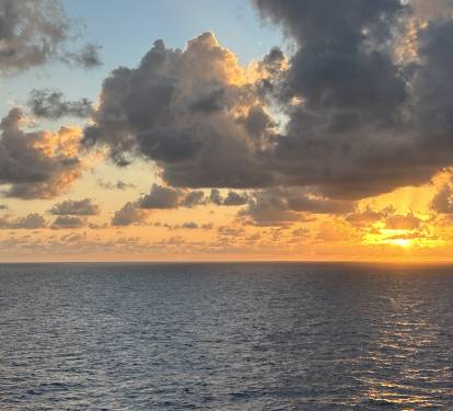 Photo #36