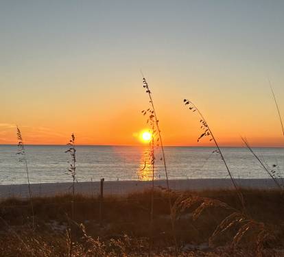 Photo #35