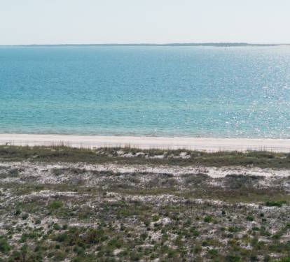 Photo #7