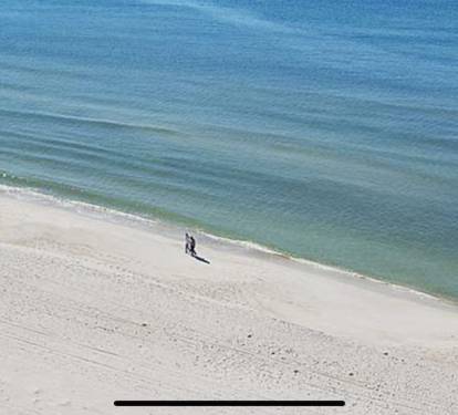 Morning sightings of manatee, dolphins, stingray &amp; more from the penthouse view!