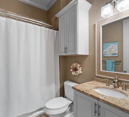 Guest Bathroom (Main Floor)