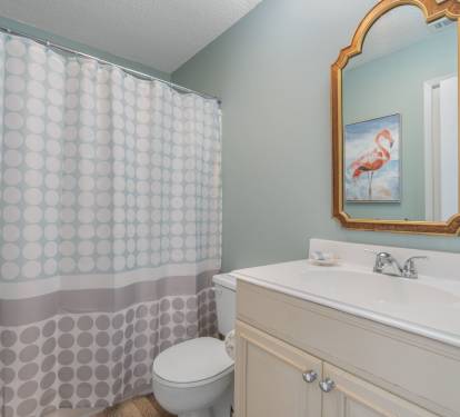Guest Bathroom 1