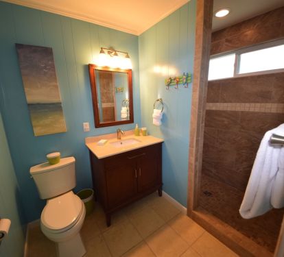 Master bathroom with large walk in shower and grab