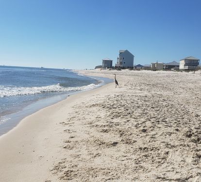 Photo #19