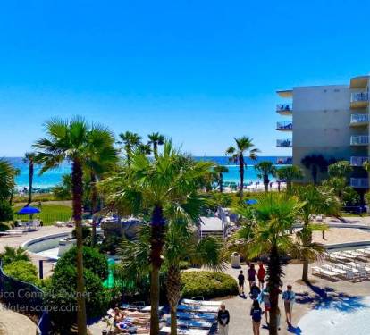 Patio View