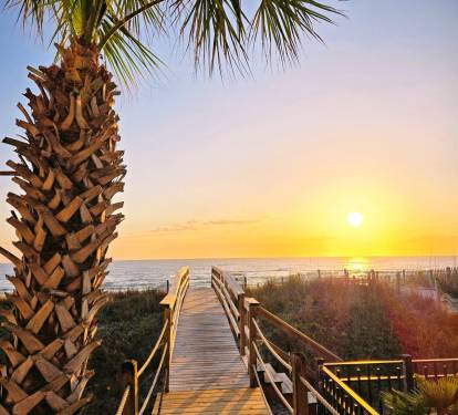 Boardwalk