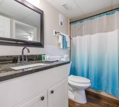 Guest bathroom