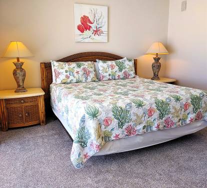 Photo #13