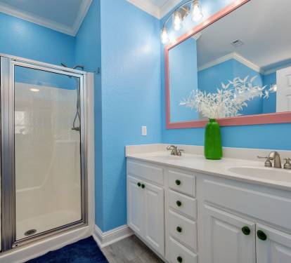 Master shower and sink