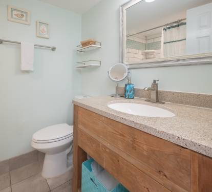 Hallway Bathroom