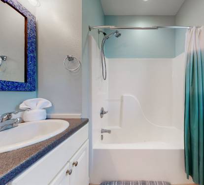 Spacious shower in Master bathroom