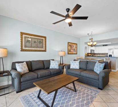 Two sofas