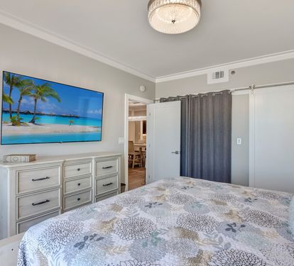Master Bedroom with en suite bathroom