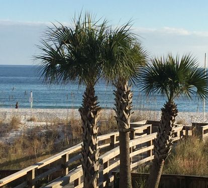 Boardwalk To The Beach