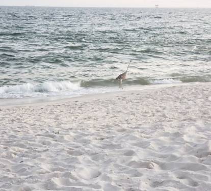 white sand beaches