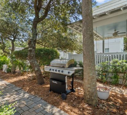 Gas grill