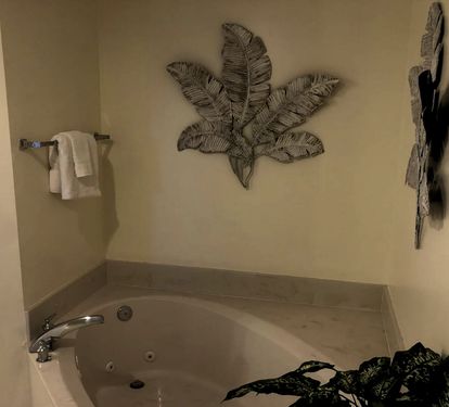 Master Bath Jetted Tub