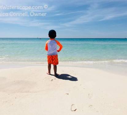 Beach Boy