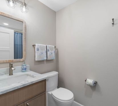 Guest Bathroom (Tub/Shower)