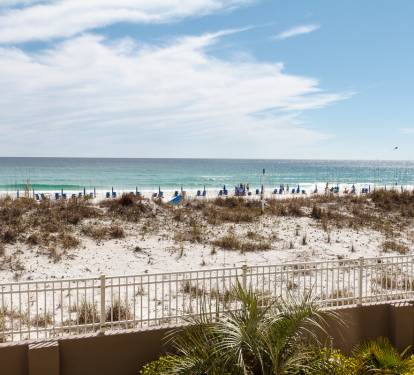 Photo #19