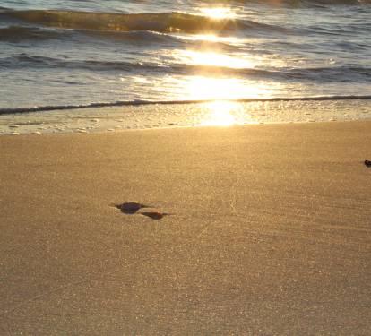 Beautiful beach