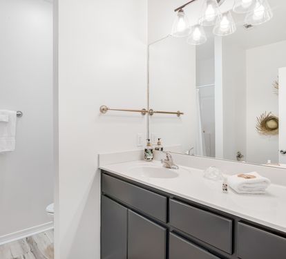The Master Bath with Tub & Shower