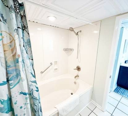 Large soaking tub and shower wand. 