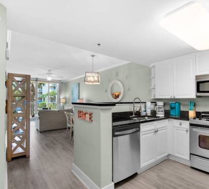 Open kitchen and living area