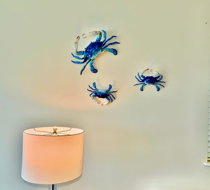 Colorful Crabs