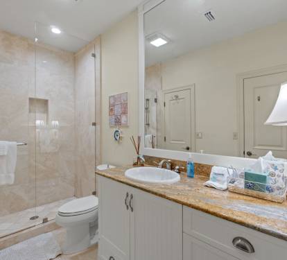 Guest Bathroom 2