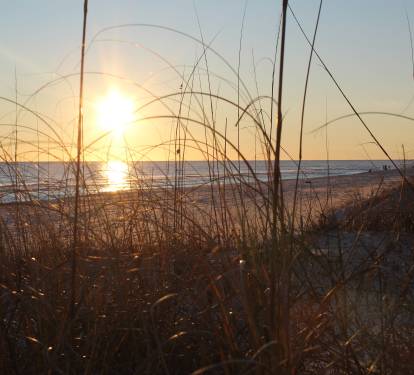 catch the sunset