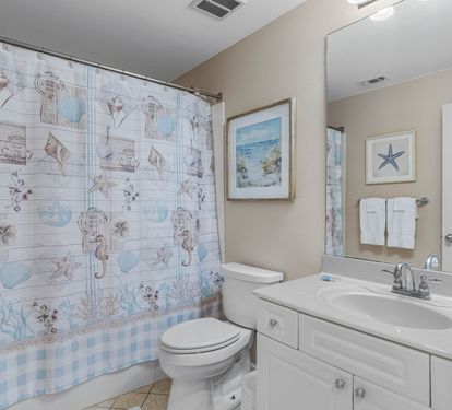 Guest Bathroom (Tub/Shower Combo)
