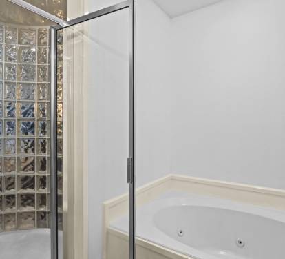 Primary Shower & Jetted Tub