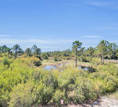 You can't get this view anywhere but here.  No houses behind us.  No staring at the side of another highrise.   Just wetlands and nature!  The wetlands of Gulf State Park adjoin the back of the property, providing great views and spectacular sunsets.
