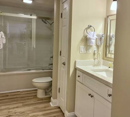New tub, tile surround and glass doors 2021