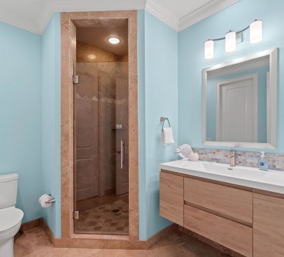 Main Floor Guest Bathroom