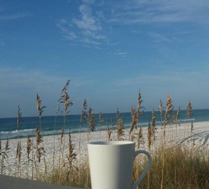 Photo #17