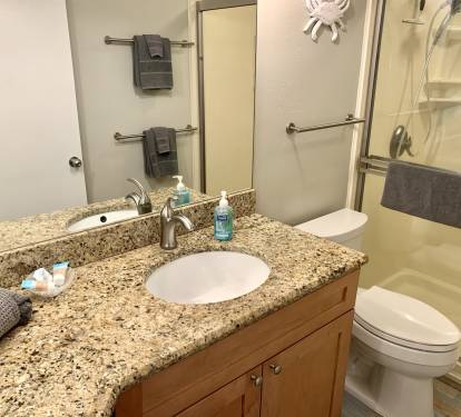 Master Bath