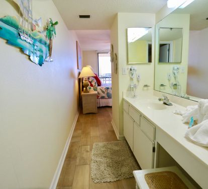 MASTER BATH FROM SHOWER AREA