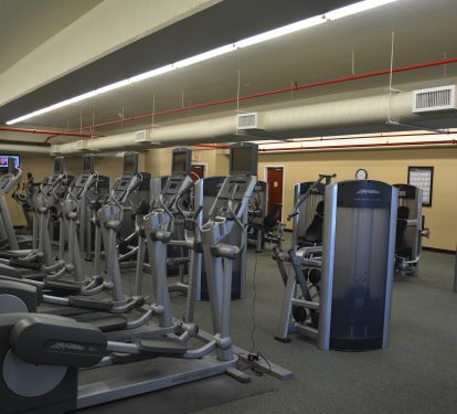 The fitness
