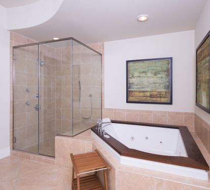 Huge jacuzzi tub or huge shower with multi-head sprayers? You decide!!