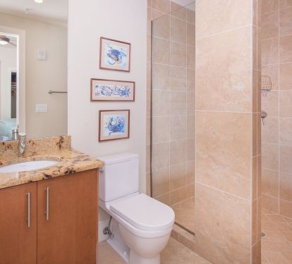 Walk in shower