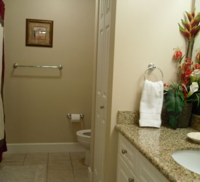 Master bathroom features a tub/shower combo and plenty of counter space